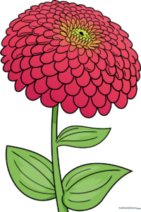 A vibrant, finished zinnia flower drawing displayed as a high-quality art project.