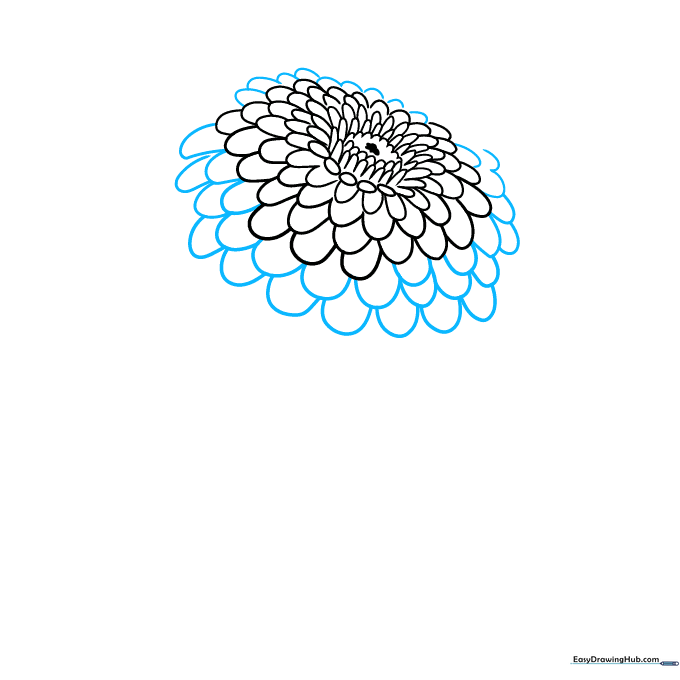 Drawing larger, downward-curving petals to give the zinnia an umbrella-like appearance.