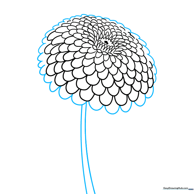 Finalizing the zinnia outline and adding the stem with two vertical lines.