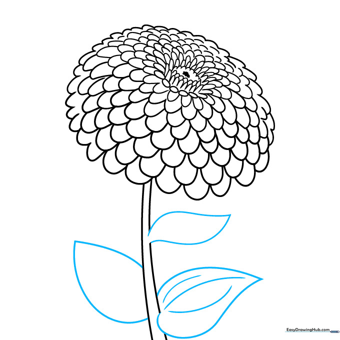 Sketching teardrop-shaped leaves attached to the stem with added vein details.