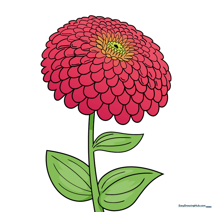 A fully colored, vibrant zinnia flower with yellow, orange, and pink petals and green leaves.