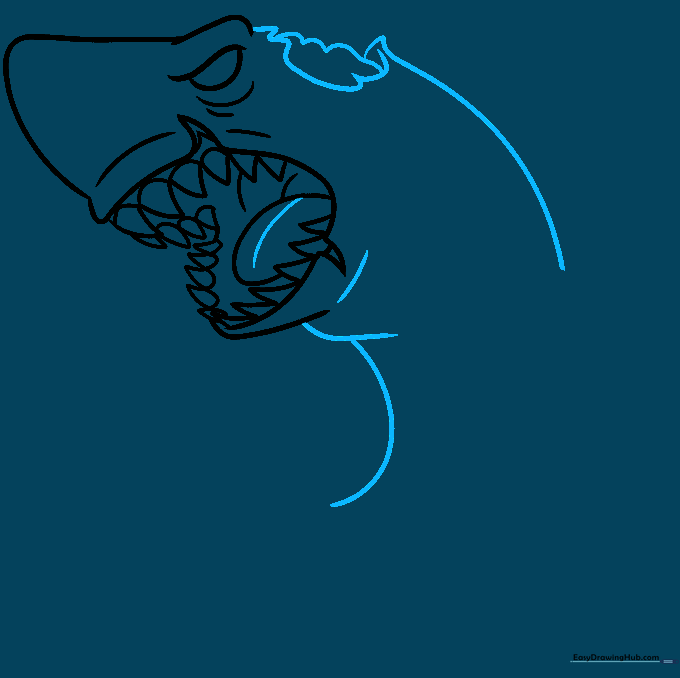 Sketching the top of the shark's head with jagged, uneven lines to show decay.