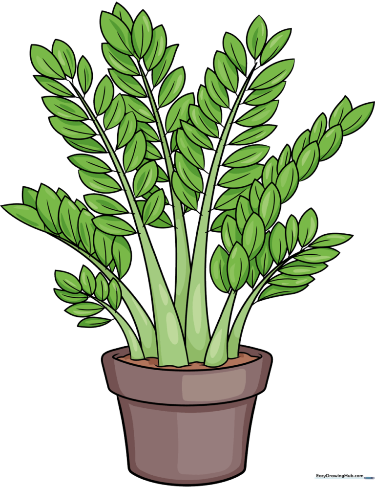 A complete, colorful, and friendly-looking ZZ plant drawing in a pot.