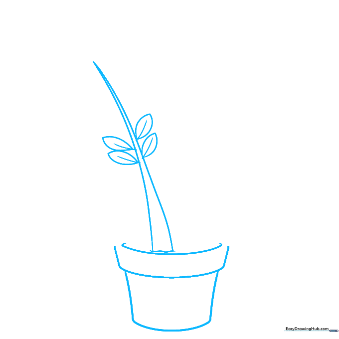 Line drawing of a flower pot base and the first single stem of a ZZ plant.