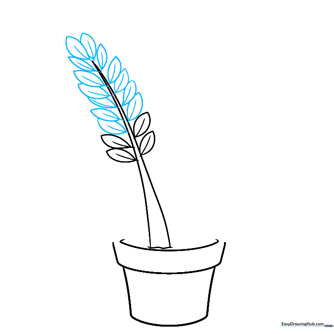 Adding teardrop-shaped leaves with center veins to the first ZZ plant stem.
