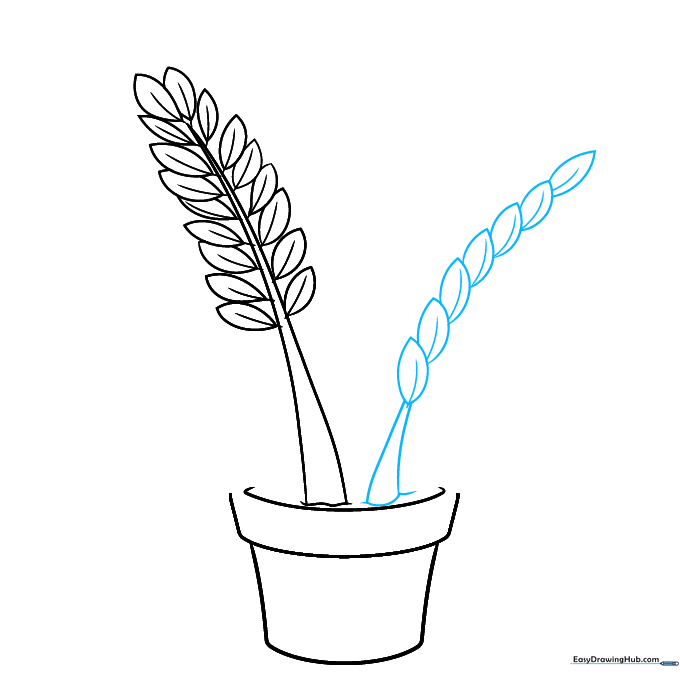 Drawing a second, taller stem with overlapping leaves for the ZZ plant.
