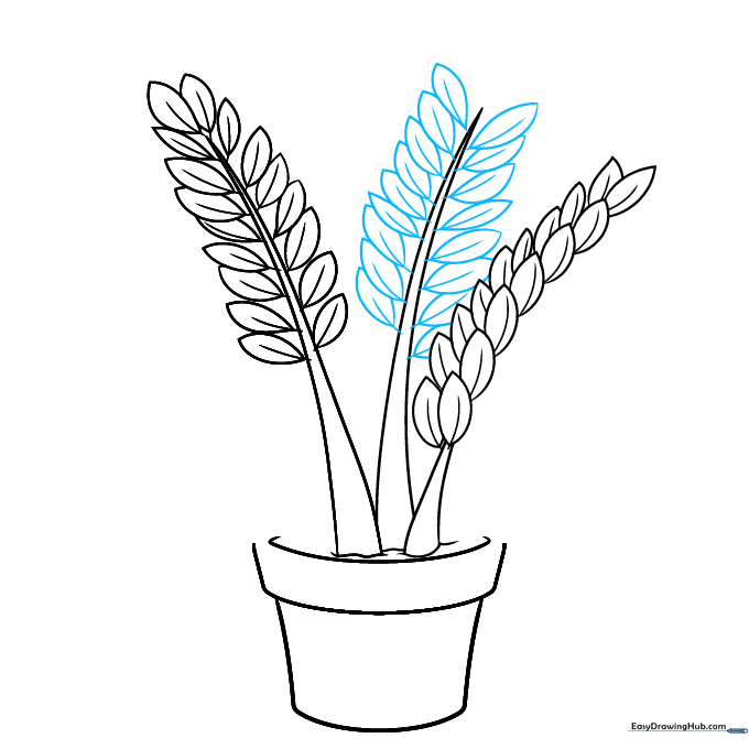 Adding leaves to the third stem of the ZZ plant drawing.
