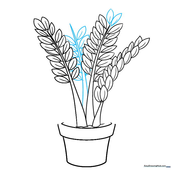 Drawing the fourth stem and adding leaves to the top of the plant.