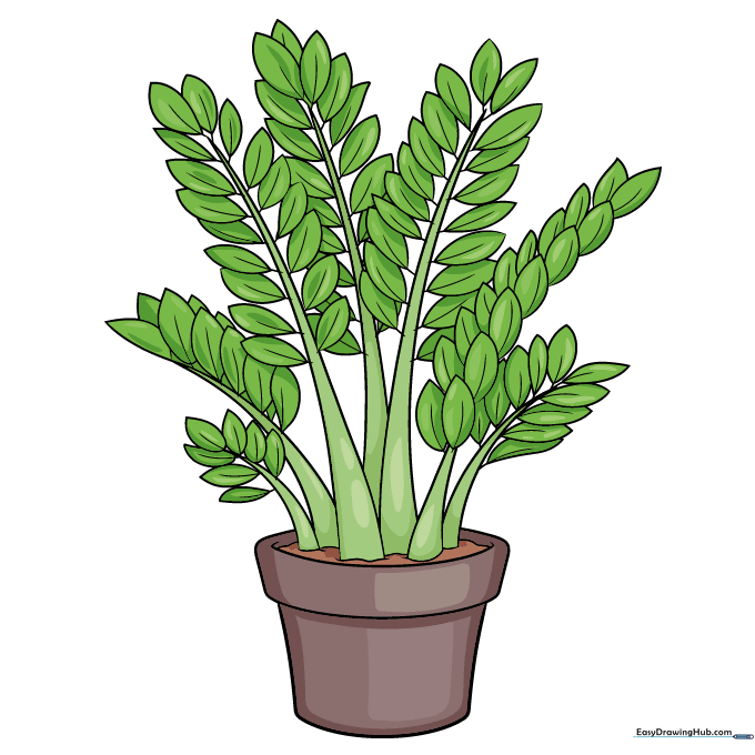 A fully colored ZZ plant drawing with vibrant green leaves and a terracotta pot.