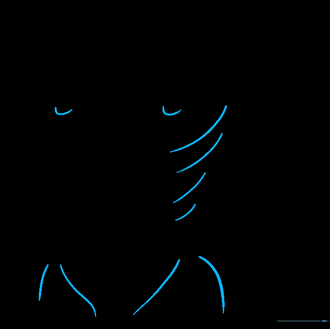 Detailed lines showing rib cage placement, hip joints, and chest muscle definition.