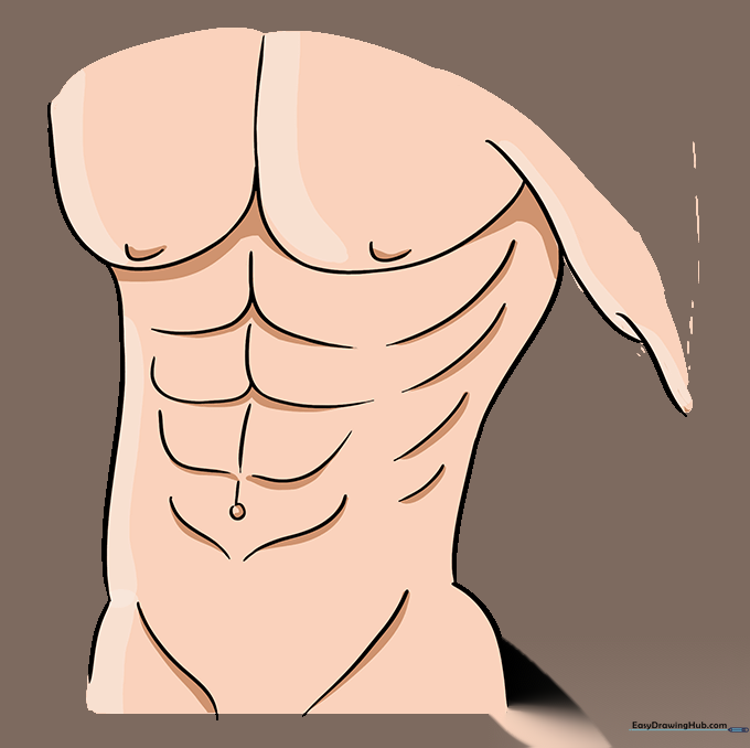 The completed, clean-lined drawing of a muscular torso ready for coloring.