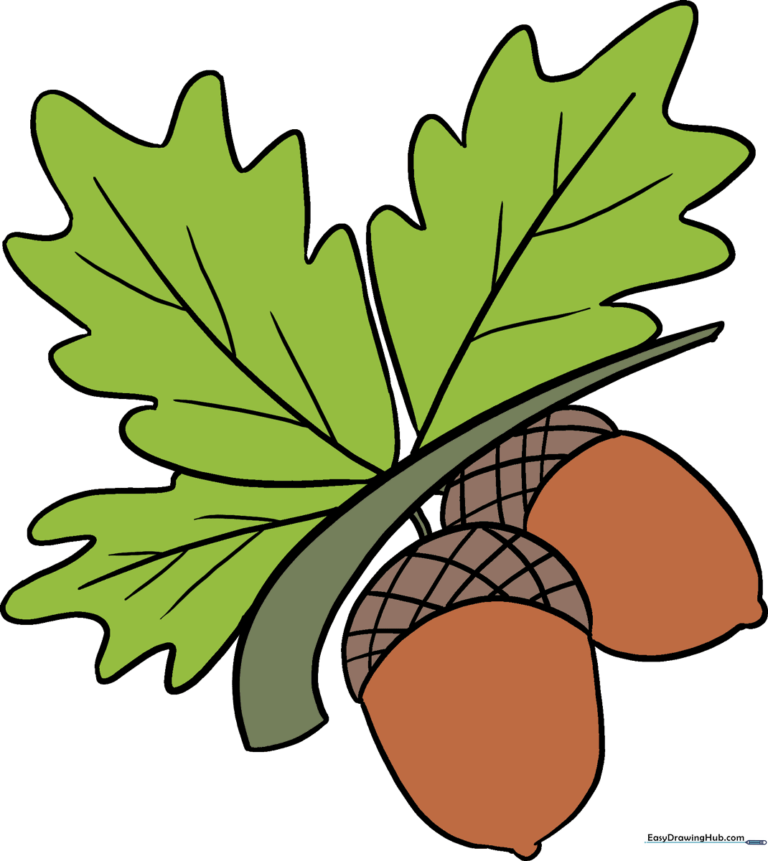Colorful illustration of acorns on an oak branch