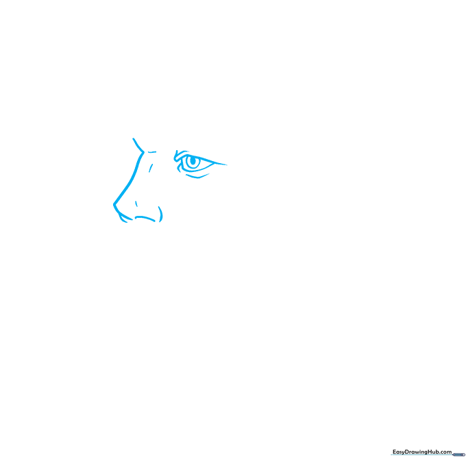 Close-up sketch of Alexander Hamilton's eye and nose showing initial pencil outlines.