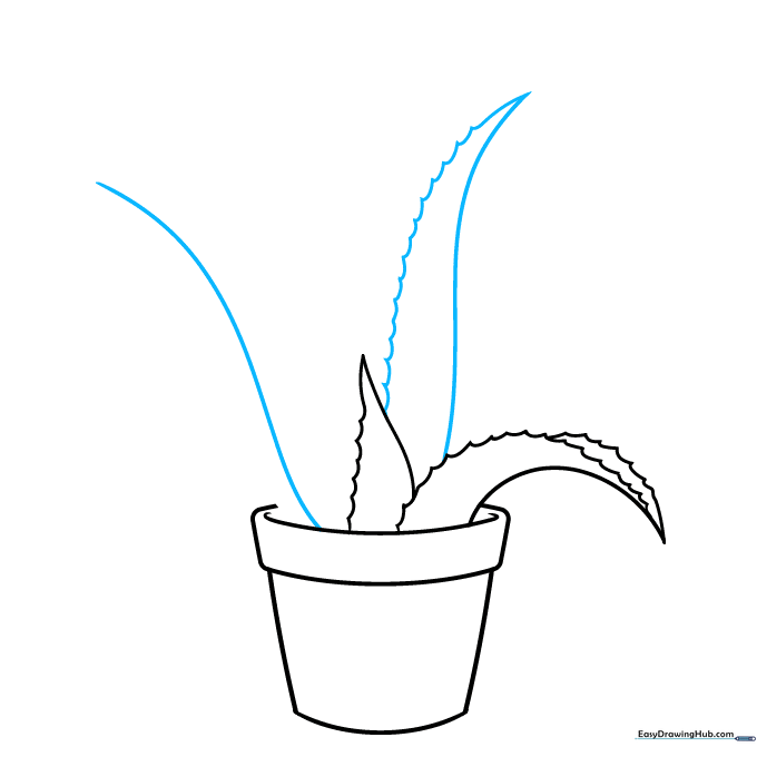 Drawing two long curved lines to form the structure of additional leaves.