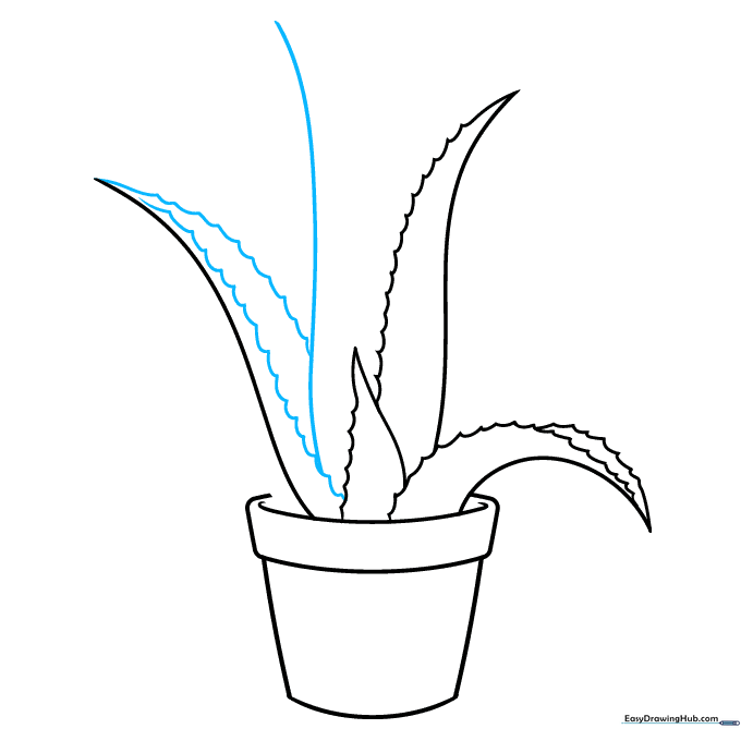 Adding volume to the leaves by drawing serrated edges along the curved outlines.