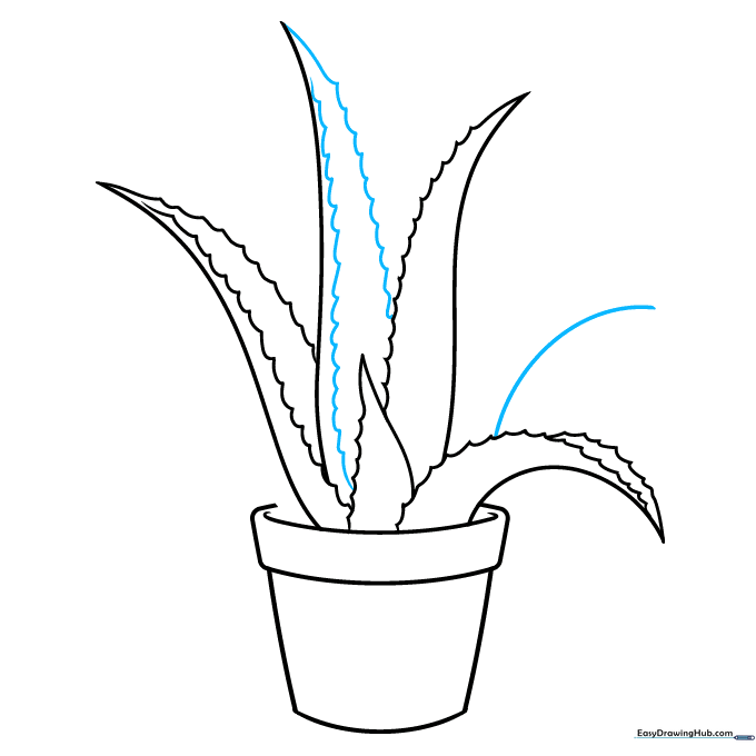 Drawing additional leaves to create a layered, dense plant appearance.