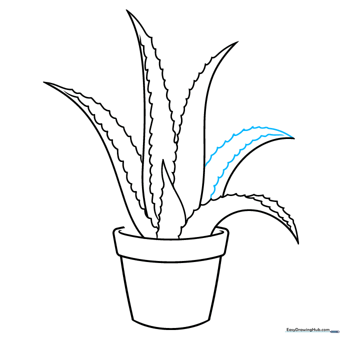 Finalizing the sharp, serrated tip of an aloe leaf.