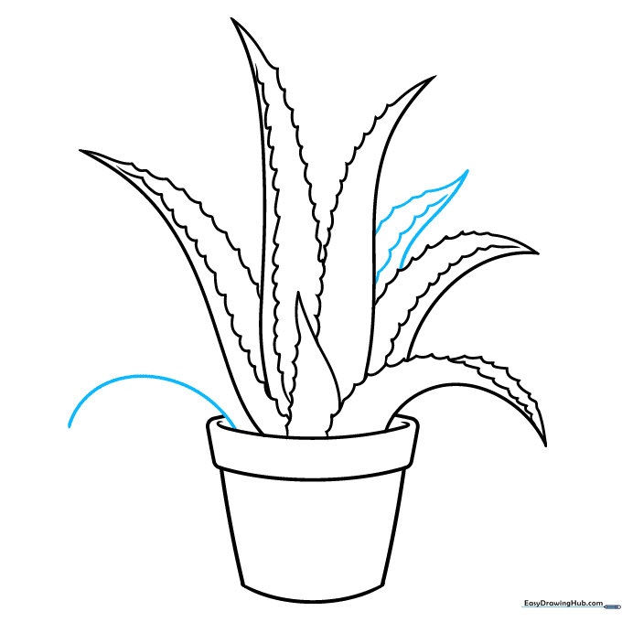 Adding a small central leaf to create depth and complexity in the drawing.