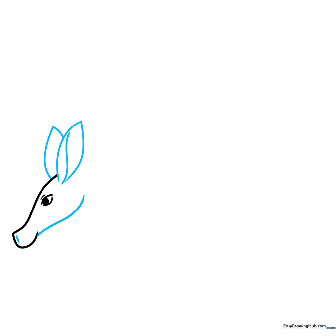 Drawing the head shape and two large, pointed ears for the aardvark.