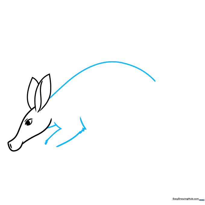 Sketching the long back line and the first front leg with fur texture.