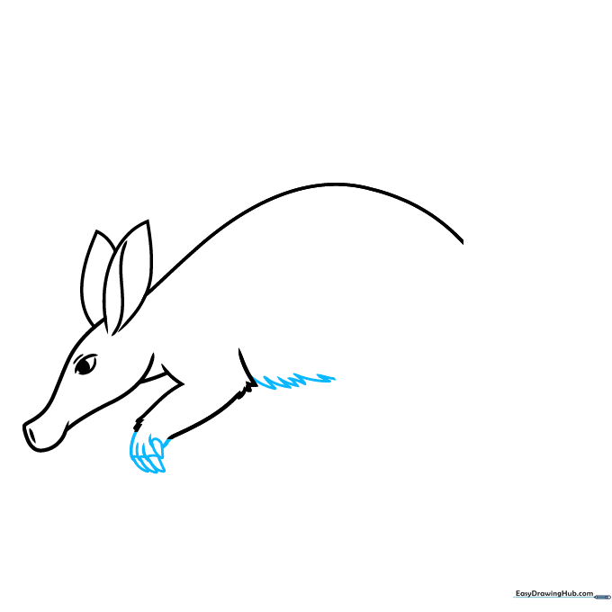 Adding details to the front paw and drawing the belly line.