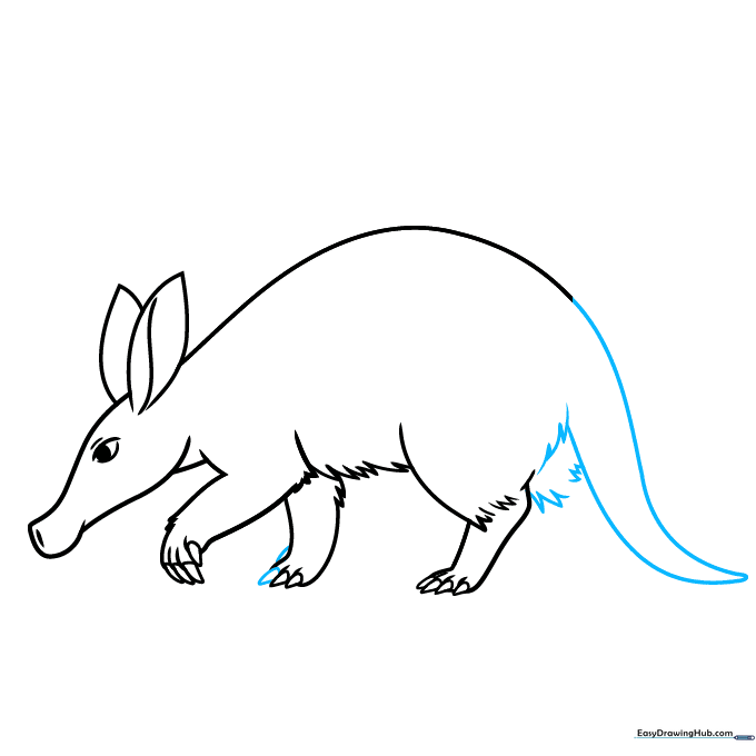 Drawing the thick tail and hip area of the aardvark.