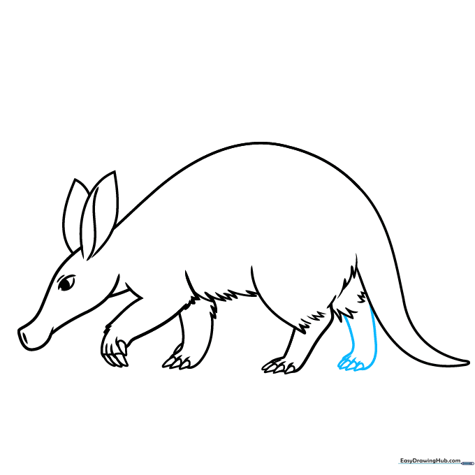 Adding the final leg to complete the aardvark's body outline.