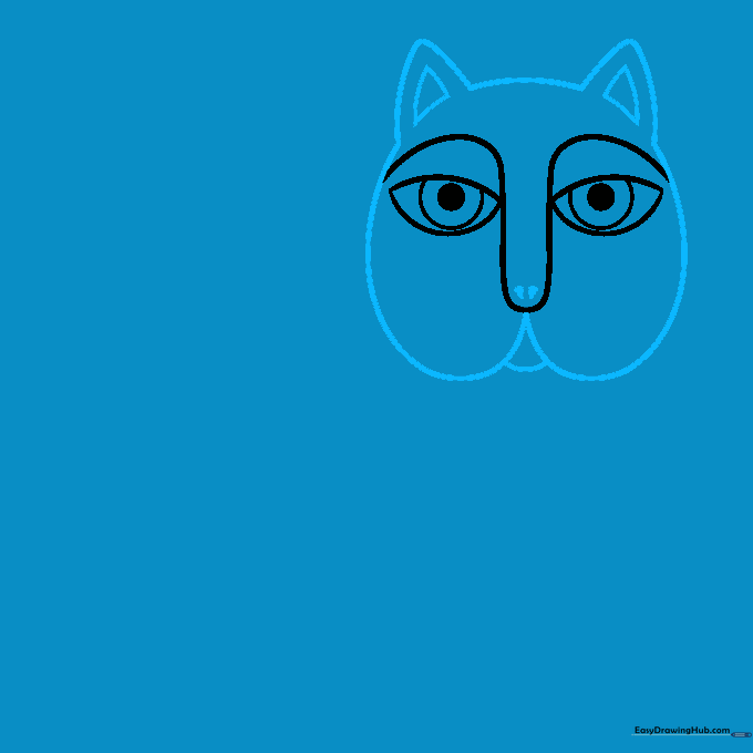 Drawing showing the addition of triangular cat ears and a defined nose area.