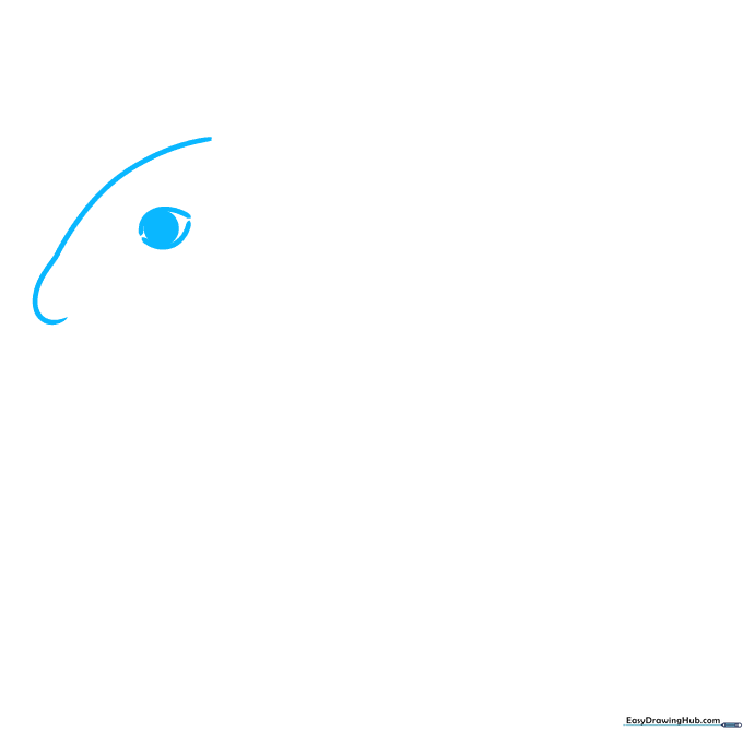 Line drawing of an agouti head showing the initial curved skull outline and a simple eye with a pupil.