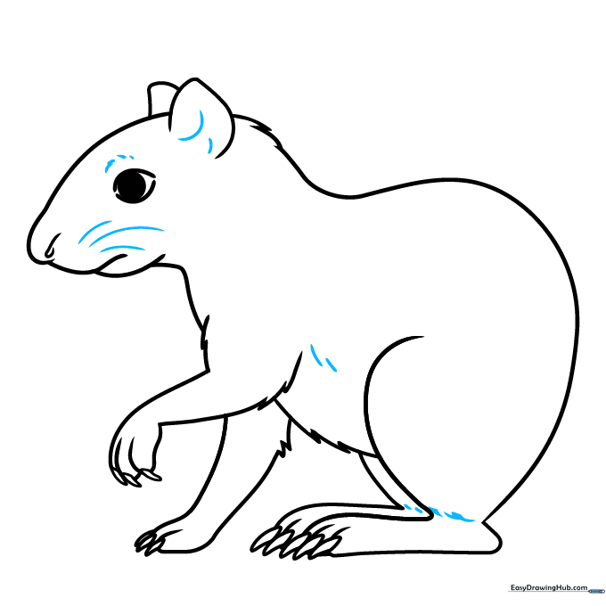 Final line art of the agouti with added whiskers and fur texture details.