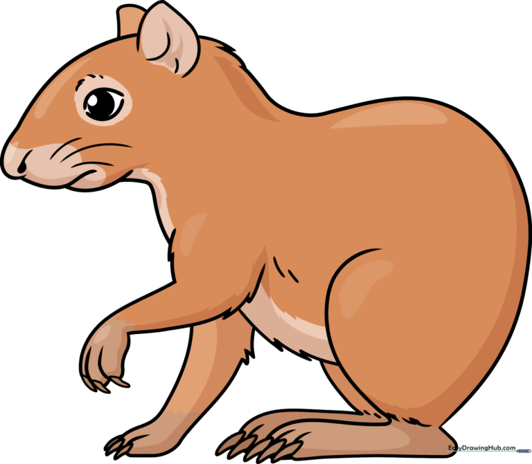 A vibrant, finished drawing of a cartoon agouti, showcasing the final result of the tutorial.