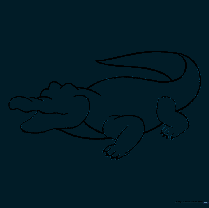 The alligator outline after erasing the initial construction guide lines.