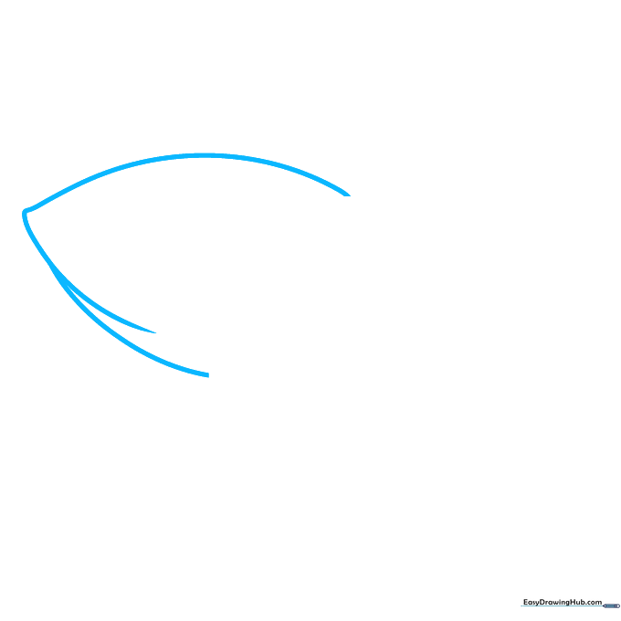 Pencil sketch showing the initial curved outline of an almond shell.