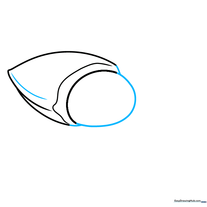 Drawing the inner nut shape connected to the outer shell structure.