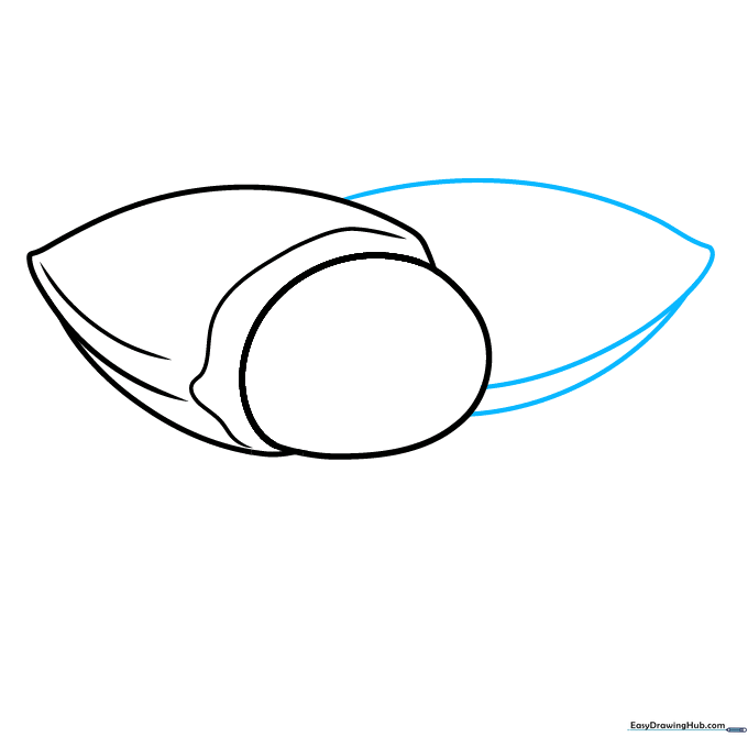 Sketching a second, partially hidden almond to add composition depth.