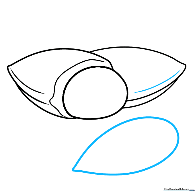Drawing a single, smooth teardrop-shaped almond kernel.