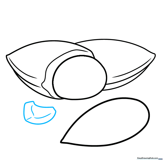 Adding a broken shell fragment to the drawing for extra detail.