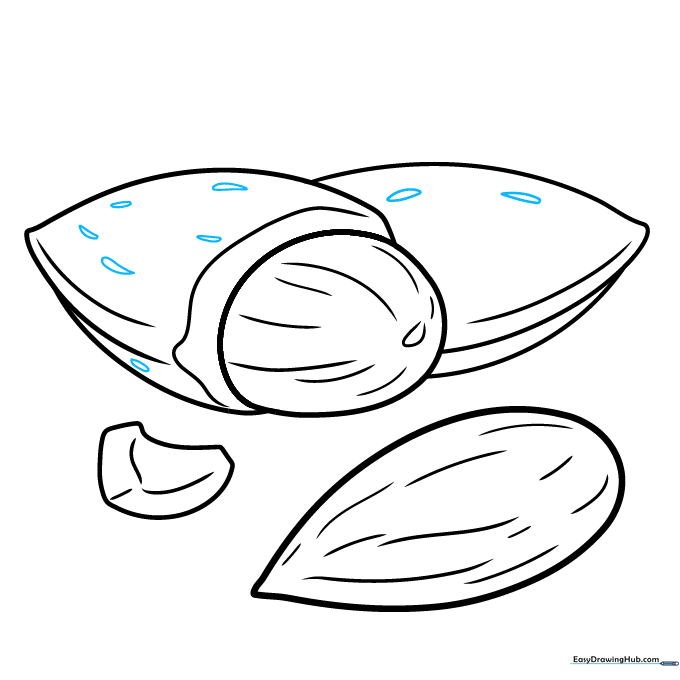 Adding detailed teardrop-shaped textures to the almond shells.