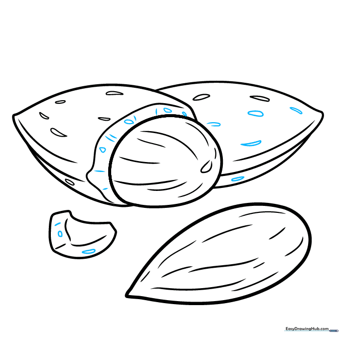 Finalizing the texture details on the almond shells and broken edges.