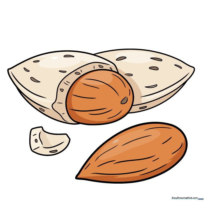 Completed almond drawing filled with rich brown and cream colors.
