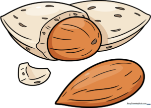 A finished, colored illustration of several almonds and shell fragments.