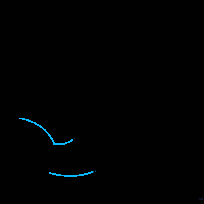 Outlining the base of the shark tail extending from the body.