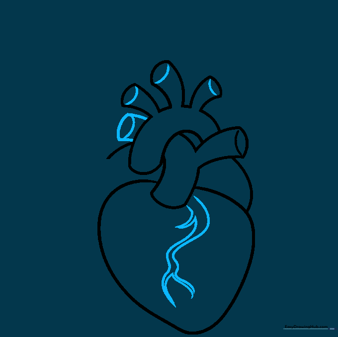 Adding intricate vein lines across the front of the heart to show anatomical detail.
