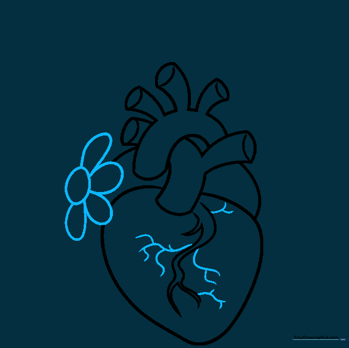 Sketching a daisy flower emerging from the top of the heart structure.