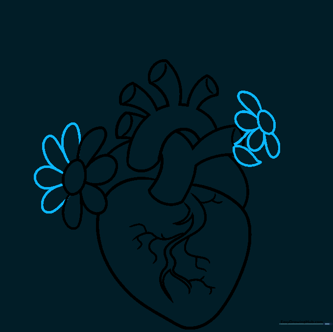 Adding a stem and a pointed leaf to the heart drawing.