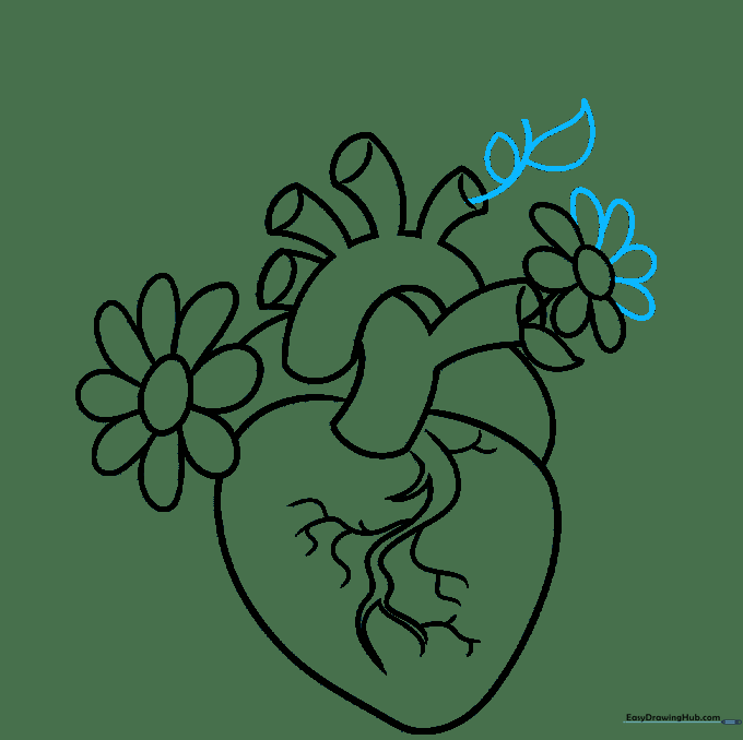 Drawing additional flowers and leaves around the aortic arch area.