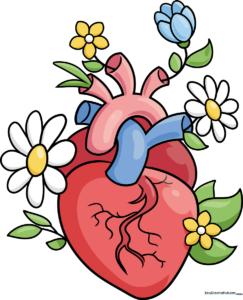 A vibrant, finished anatomical heart drawing surrounded by colorful flowers.