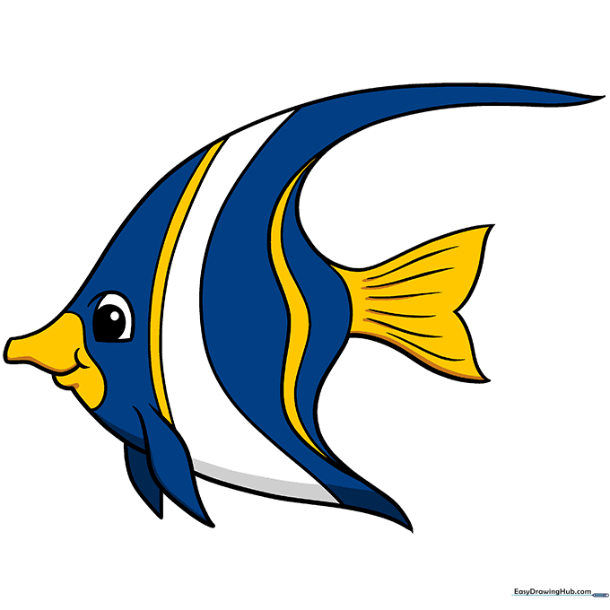 A fully colored, vibrant angelfish with black and yellow stripes, ready for display.