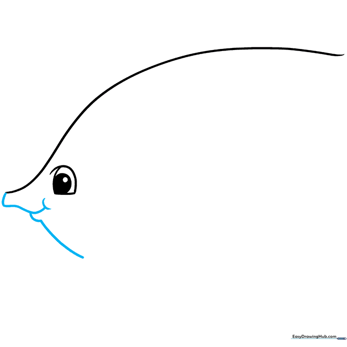 Close-up sketch of the angelfish snout and mouth area with a small U-shaped curve.