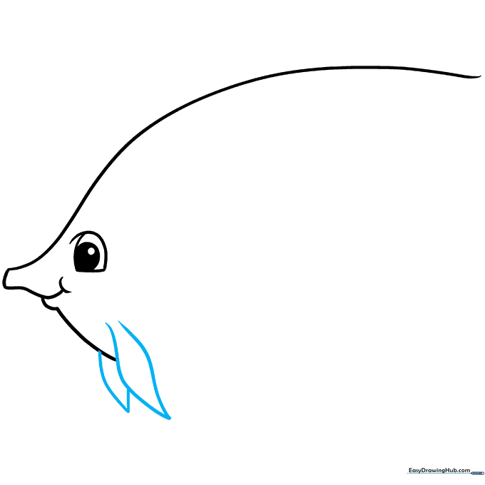 Sketch showing the addition of a sharp, triangular pectoral fin on the side of the fish body.